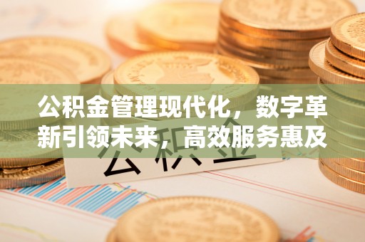 崇安公积金管理现代化，数字革新引领未来，高效服务惠及民生