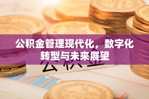 崇安公积金管理现代化，数字化转型与未来展望