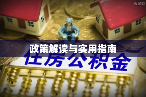 崇安政策解读与实用指南