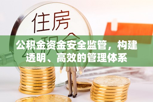 崇安公积金资金安全监管，构建透明、高效的管理体系