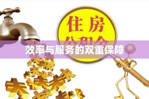 崇安效率与服务的双重保障