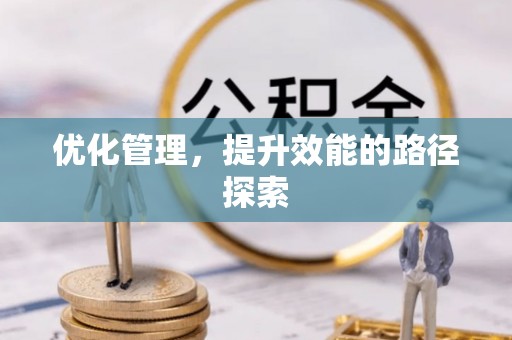 崇安优化管理，提升效能的路径探索
