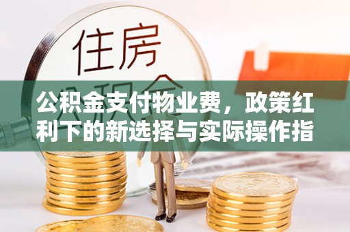 崇安公积金支付物业费，政策红利下的新选择与实际操作指南