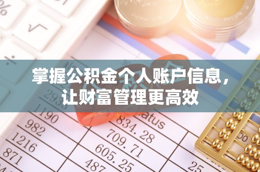 崇安掌握公积金个人账户信息，让财富管理更高效