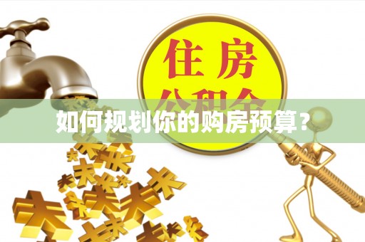 崇安如何规划你的购房预算？