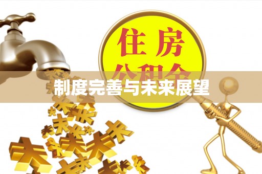 崇安制度完善与未来展望