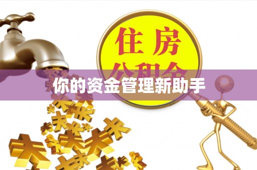 崇安你的资金管理新助手