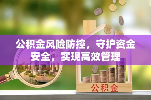 崇安公积金风险防控，守护资金安全，实现高效管理