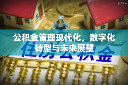 崇安公积金管理现代化，数字化转型与未来展望