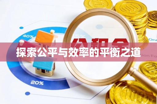 崇安探索公平与效率的平衡之道