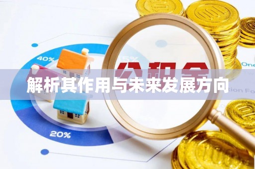 崇安解析其作用与未来发展方向