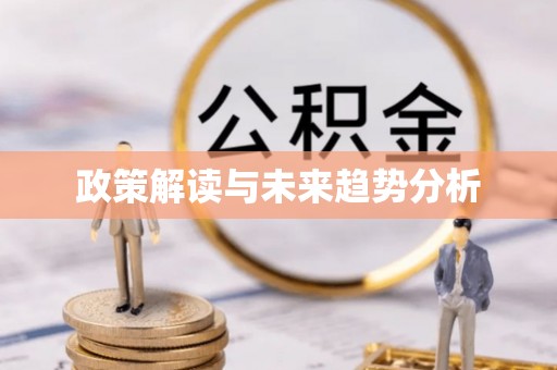崇安政策解读与未来趋势分析